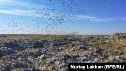 Алматының іргесіндегі ат шаптырым аумақты алып жатқан қоқыс полигонынан тараған сасық иіс алыстан сезіледі. 4 желтоқсан 2020 жыл.